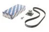 РМК ГРМ Z=132 MITSUBISHI/OPEL/NISSAN/RENAULT Carisma/Trafic/Primastar/Movano \'\'1.9DCI \'\'01-06 1987946700