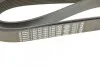 Ремінь П-клиновий 8PK1955 BOSCH 1987947062 (фото 5)
