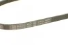 Ремінь поліклиновий 4pk815 BOSCH 1 987 947 894 (фото 4)