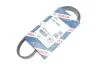 Ремень П-клиновый 4PK1006 BOSCH 1987947963 (фото 2)