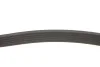 Дорожковый ремень 6PK1110 BOSCH 1 987 948 304 (фото 2)