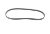Полікліновий ремінь BOSCH 1 987 948 404 (фото 5)