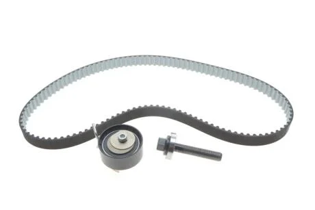 РМК ГРМ Z=117 FORD/VOLVO Connect/Fiesta/C/S-Max/Mondeo/V40/V60/V70/S80 \'\'10>> BOSCH 1987948967