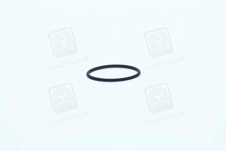 Елемент форсунки Common Rail BOSCH F 00R J00 220 (фото 1)