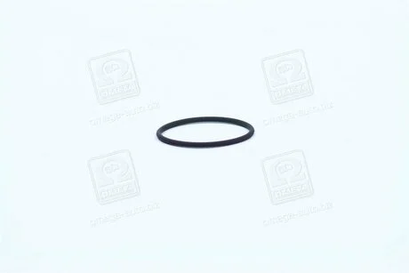 Елемент форсунки Common Rail BOSCH F 00R J00 220 (фото 1)