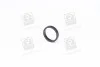 Елемент форсунки Common Rail F 00V C38 100
