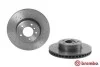 Гальмівні диски BREMBO 09.9172.1X (фото 2)