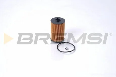 Фільтр масляний VW Passat 1.6/2.0TDI 14- BREMSI FL0021