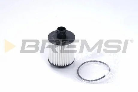 Фільтр масляний Fiat Doblo/Fiorino/Punto/Qubo 1.3 D Multijet 13- BREMSI FL0143