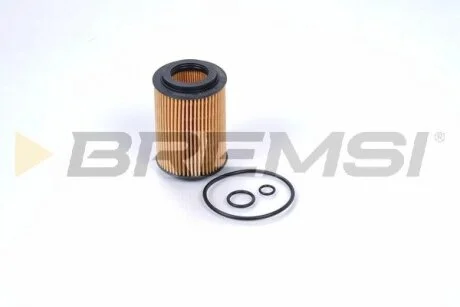 Фільтр масляний Honda Civic/CR-V 2.2i/2.2CTDi 05- BREMSI FL0686
