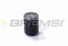 Фільтр масляний Ford Transit 2.0TDCI 15- BREMSI FL0713 (фото 1)