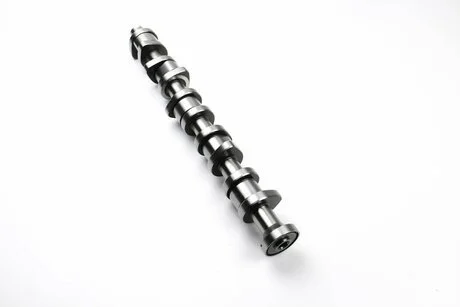 Распредвал T5 2.5TDI (AXD/AXE/BLK) 03- BSG BSG 90-108-006