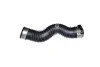 Патрубок інтеркулера BMW 3 (E91,E92) 320d 07-, X1 (E84) sDrive 20d 09-15 BUGIAD 81672 (фото 1)