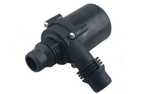Додатковий водяний насос (шт.) BUGIAD BWP52004 (фото 1)