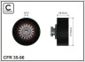 70x10x28 Ролик натяжний Citroen C15 1.9D 00-05 35-96