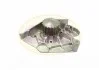 Водяна помпа Peugeot 406/605/806 2.1TD 96- 330104