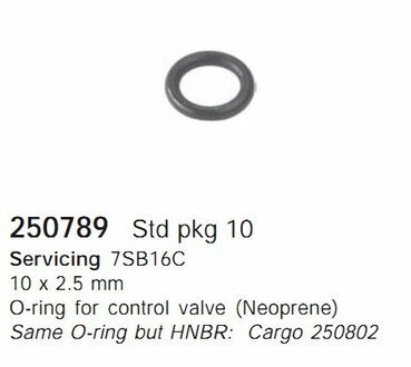 Уплотняющее кольцо кондиционера CARGO 250789 (фото 1)