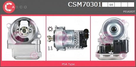 Электродвигатель CASCO CSM70301GS (фото 1)