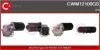 Электродвигатель CWM12100GS