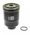 CFF100146     (Champion)