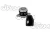 CIFAM RENAULT Рабочий цилиндр сцепления SAFRANE 96-. MITSUBISHI Space Star, Carisma 506-048