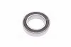 Підшипник генератора (вир-во Complex) COMPLEX AUTOMOTIVE BEARINGS Sp.z.o.o. 6009-2RS (фото 1)