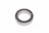 Підшипник генератора (вир-во Complex) COMPLEX AUTOMOTIVE BEARINGS Sp.z.o.o. 6009-2RS (фото 4)