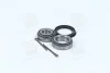 Підшипник маточини AUDI, VW задн. міст (Вир-во COMPLEX) COMPLEX AUTOMOTIVE BEARINGS Sp.z.o.o. CX009 (фото 1)