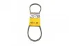 Ремінь генератора клиновий CONTINENTAL 11,2X866Ld 11,2X866Ld