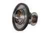 TERMOSTAT Z USZCZ. 91 ST. Contitech 28020040742 (фото 1)