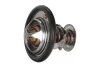 TERMOSTAT Z USZCZ. 82 ST. 28020041212