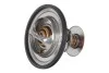 TERMOSTAT Z USZCZ.82 ST. Contitech 28020042412 (фото 1)
