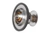 TERMOSTAT Z USZCZ.88 ST. 28020042452