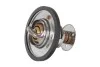 TERMOSTAT Z USZCZ.89 ST. 28020042842