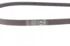 Пас поліклиновий Citroen Jumper/Fiat Ducato/Peugeo Contitech 4PK1102 ELAST (фото 3)
