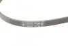 Ремень генератора Audi A4/A6 2.5TDI Contitech 4PK1217 (фото 3)