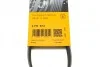 Пас поліклиновий Hyundai i10/i20/i30 1.1/1.6CRDi 0 Contitech 4PK673 (фото 6)