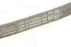 Ремень поликлиновой Contitech 4PK753 ELAST (фото 3)