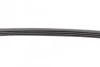 Пас поліклиновий Fiat Ducato 1.9D/TD 98-02/2.0JTD Contitech 4PK755 (фото 3)