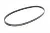 Ремінь поліклиновий Subaru Legasy 2,0i 2,5i 03>09 Contitech 4PK845 (фото 4)