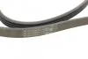 Ремень поликлиновой Conti Contitech 4PK860ELAST (фото 3)