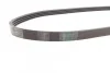 Ремінь поліклиновий Mazda 323 1,4i 1,5i 1,6i 98>04 Contitech 4PK885 (фото 2)