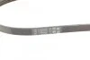 Ремень генератора A6/Elantra/Carens/Ceed/Cerato/Grand Vitara 89- Contitech 4PK890 (фото 4)