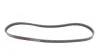 Пас поліклиновий BMW 3 (E46)/X3 (E83) 01-07/Fiat S Contitech 4PK917 ELAST (фото 5)