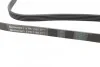 Ремень генератора Jumper 2.8HDI 00&gt;/Ducato 2.5D/TD &gt;№2669394 AC Contitech 5PK1100 (фото 2)
