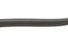 Пас поліклиновий Honda Civic 1.4 05-/Land Rover Di Contitech 5PK1140 (фото 2)