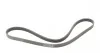 Пас поліклиновий Honda Civic 1.4 05-/Land Rover Di Contitech 5PK1140 (фото 5)