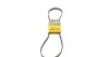 Ремень поликлиновой Conti 5PK1236 ELAST