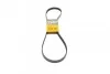 Ремень поликлиновой Conti 5PK1260