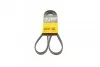 Ремень поликлиновой Conti 5PK1330